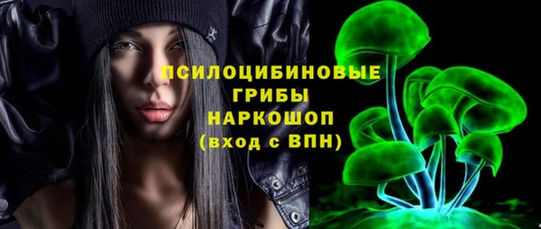 apvp Протвино