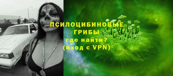 apvp Протвино