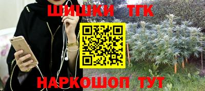СК Заводоуковск