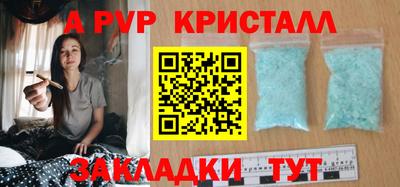 шишки Бийск