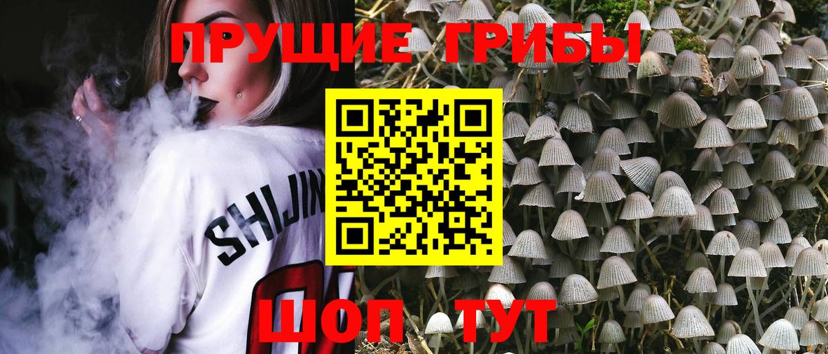 Псилоцибиновые грибы GOLDEN TEACHER Богородск