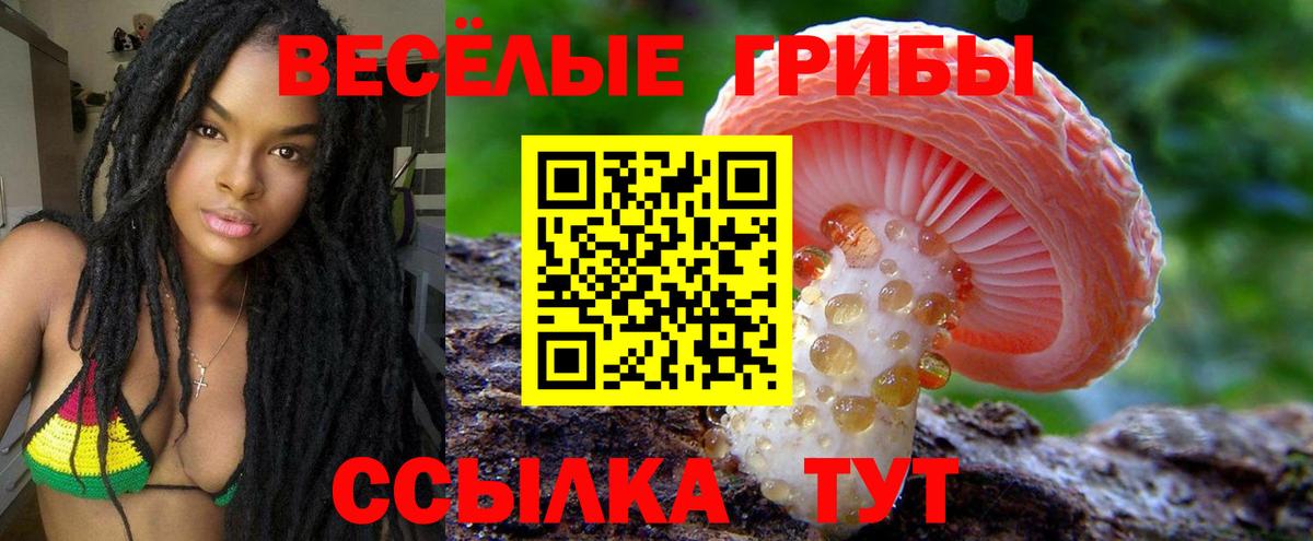 Богородск  Псилоцибиновые грибы Psilocybe  Галлюциногенные грибы MAGIC MUSHROOMS  купить   Вход с VPN 