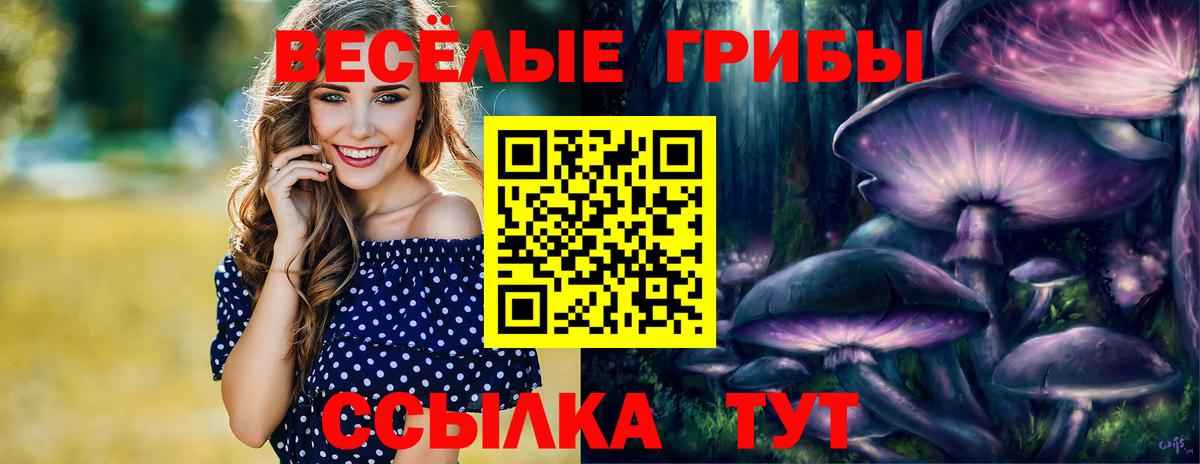 Галлюциногенные грибы прущие грибы Богородск